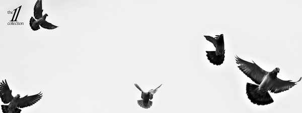 The 11, Vol. 3: Loyalty. What remains when everything changes.